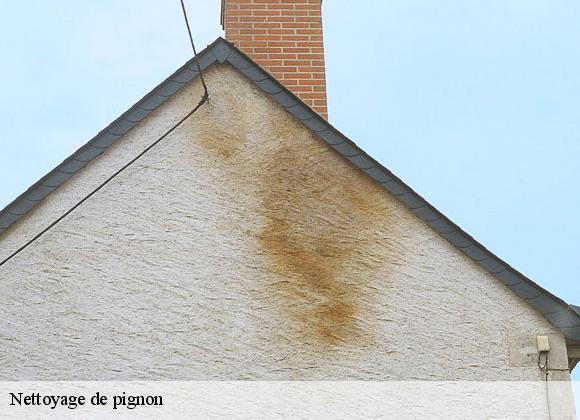 Nettoyage de pignon