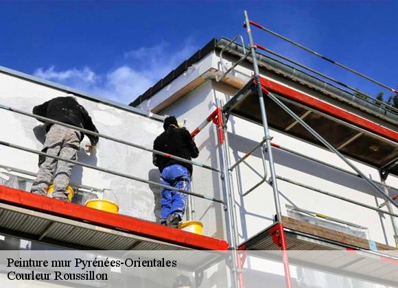 Peinture mur 66 Pyrénées-Orientales Courleur Roussillon