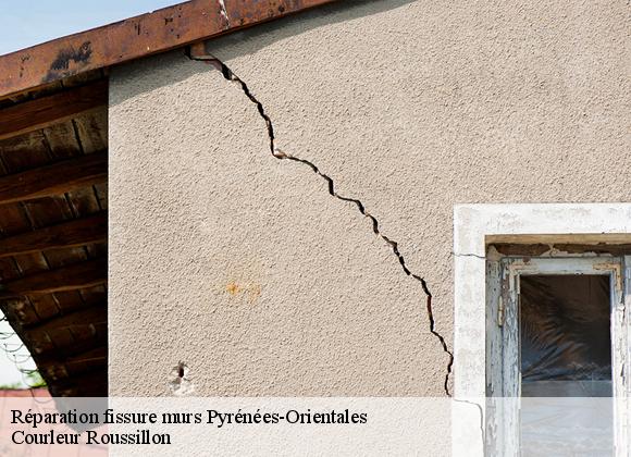 Réparation fissure murs 66 Pyrénées-Orientales Courleur Roussillon