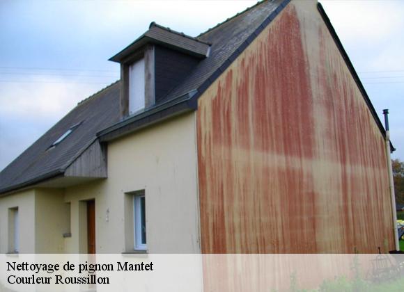 Nettoyage de pignon  mantet-66360 Courleur Roussillon
