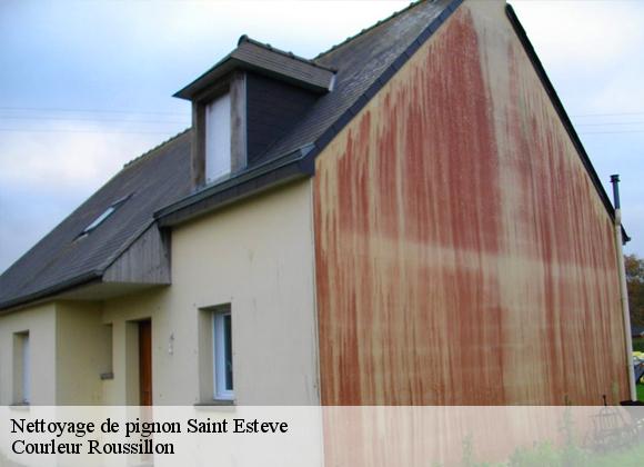 Nettoyage de pignon  saint-esteve-66240 Courleur Roussillon