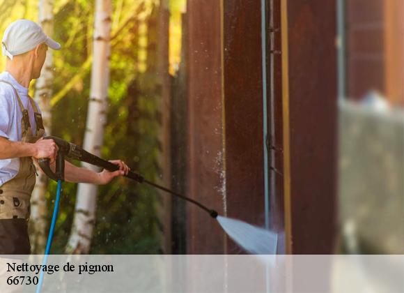Nettoyage de pignon 66730