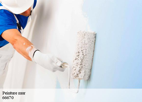 Peinture mur 66670