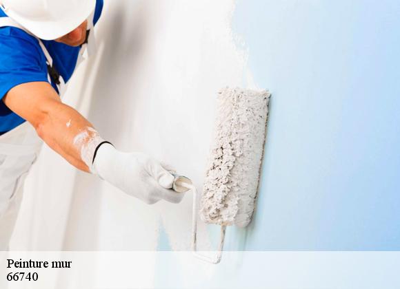 Peinture mur 66740