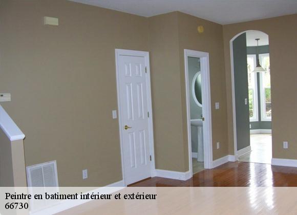 Peintre en batiment intérieur et extérieur 66730