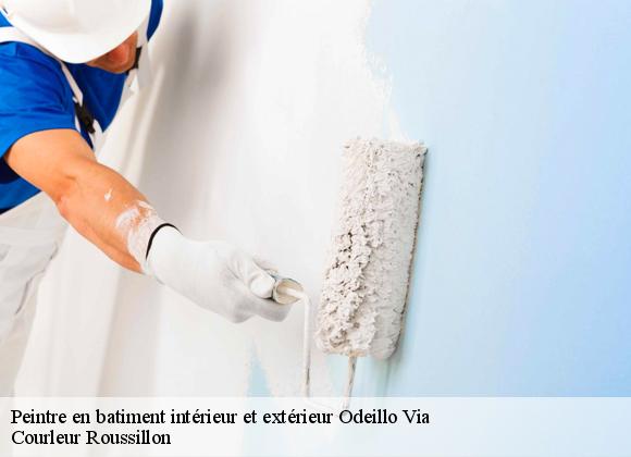 Peintre en batiment intérieur et extérieur odeillo-via-66120 Courleur Roussillon